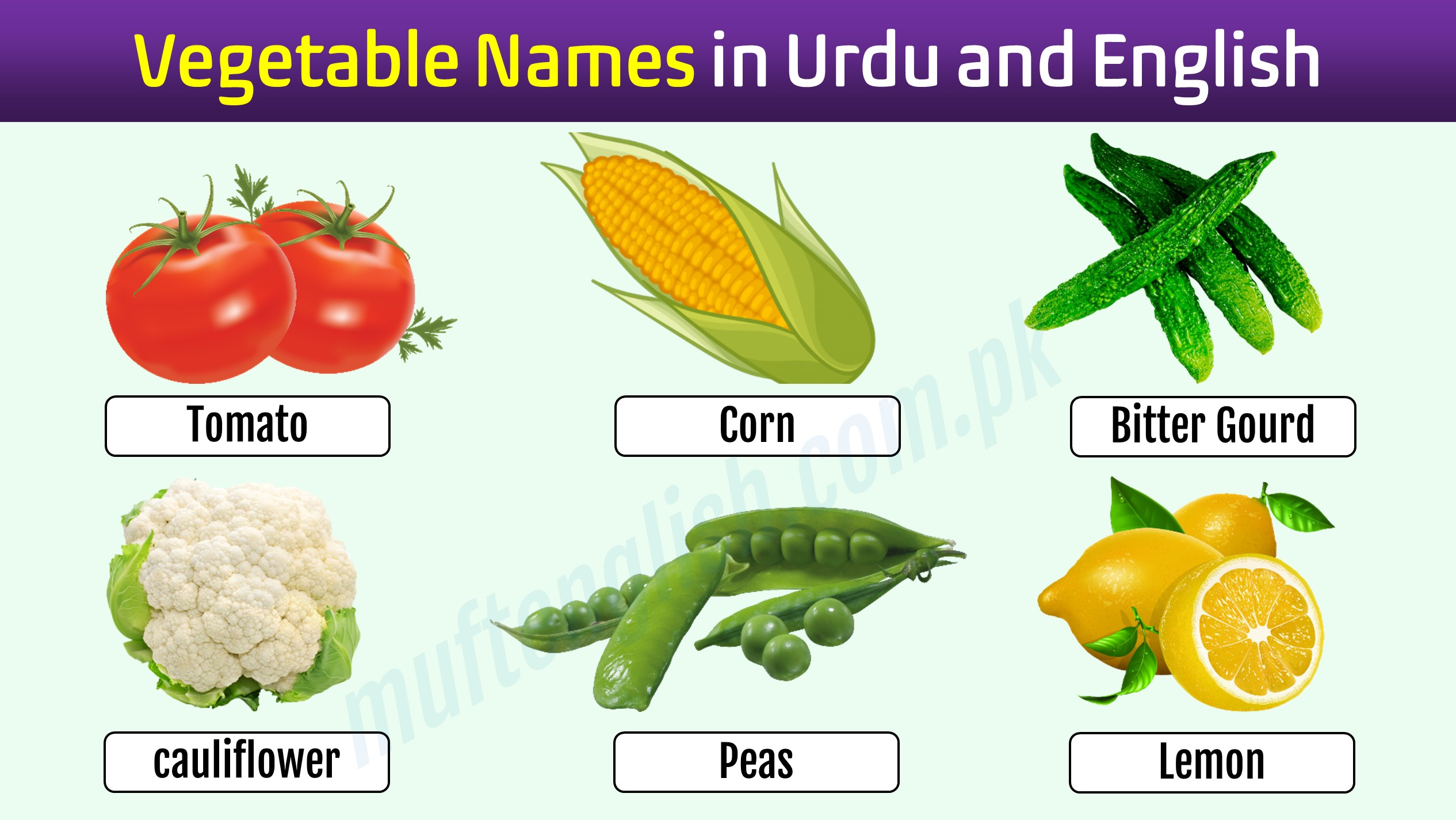 111 Vegetable Names in English and Urdu with Pictures, image size:2531x1425