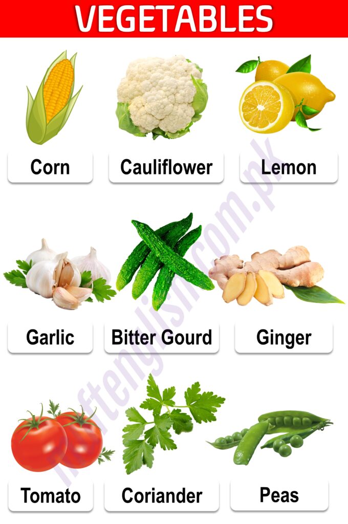 111 Vegetables Names in English and Urdu with Pictures