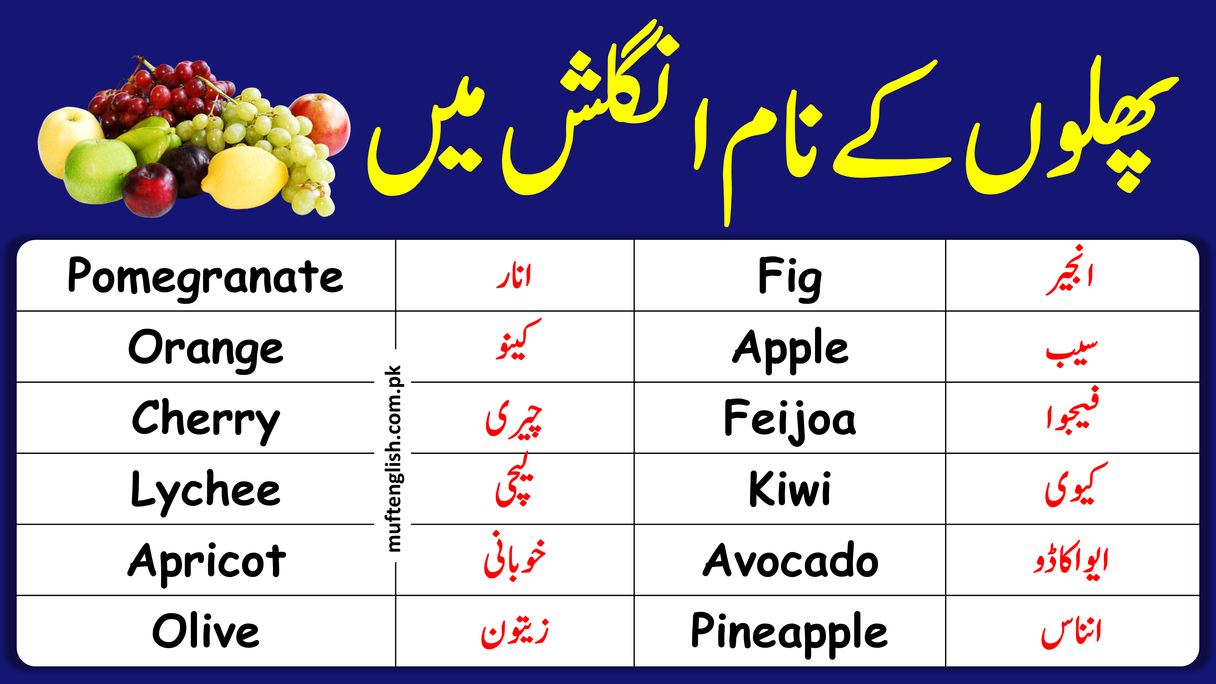 50 Fruit Names in English and Urdu