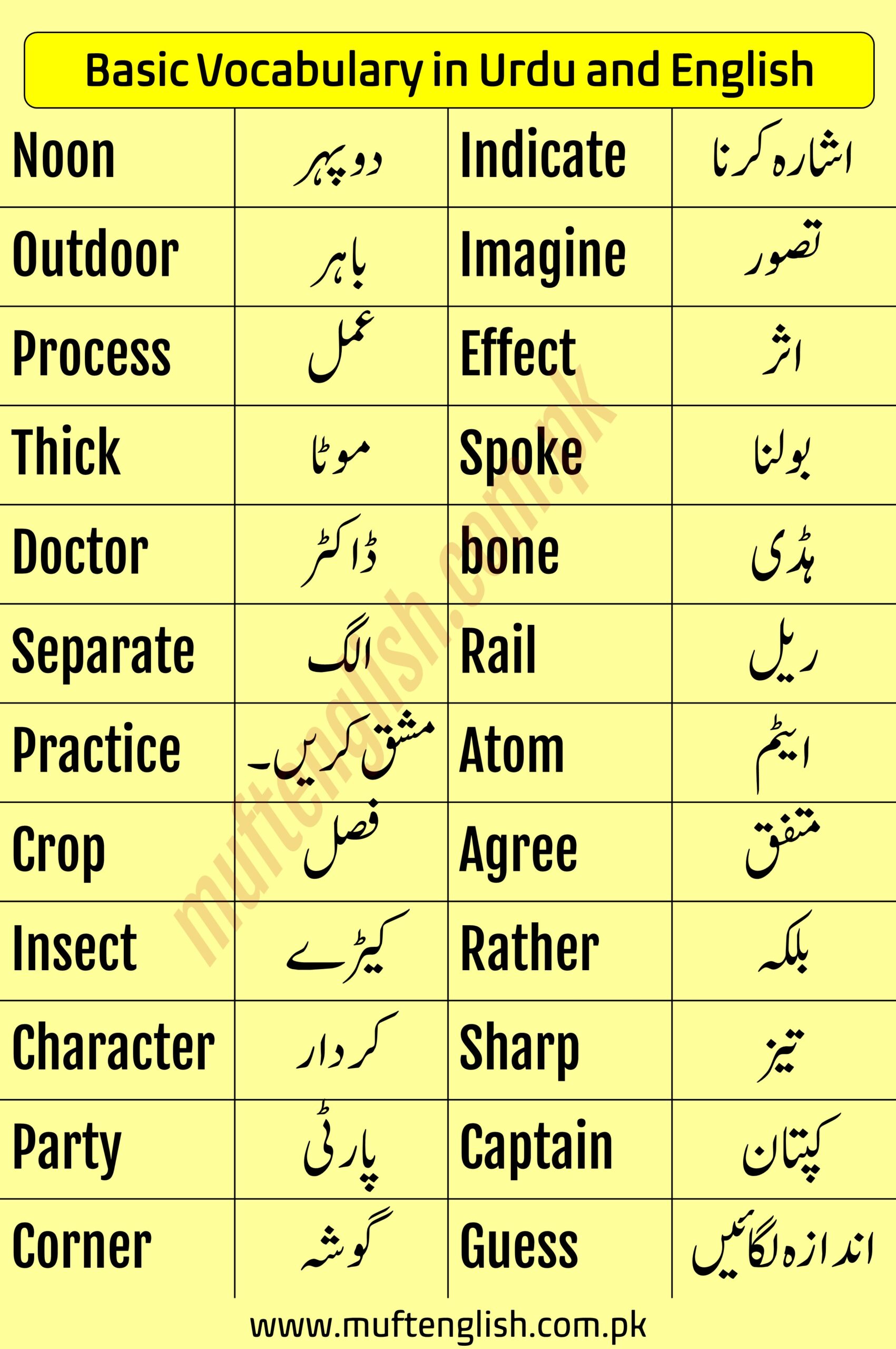 Basic Words with Urdu Meanings List-2