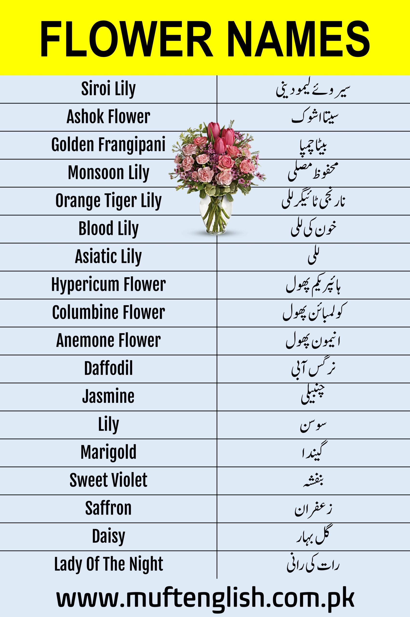 Flowers Vocabulary in English and Urdu