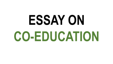 Essay On Co-Education In English PDF