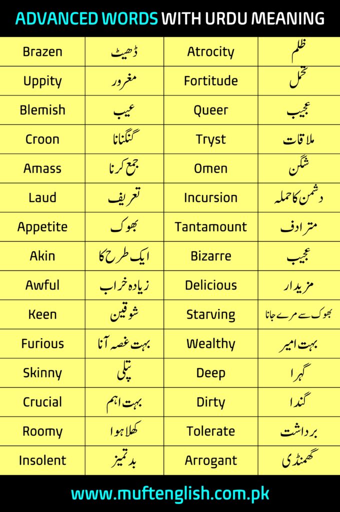 Advanced English To Urdu Vocabulary List 2024