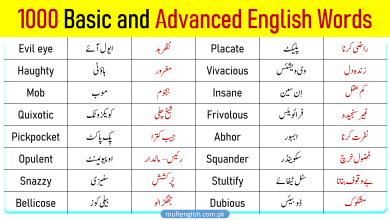 1000 English Vocabulary with Urdu Meaning and Pronunciation