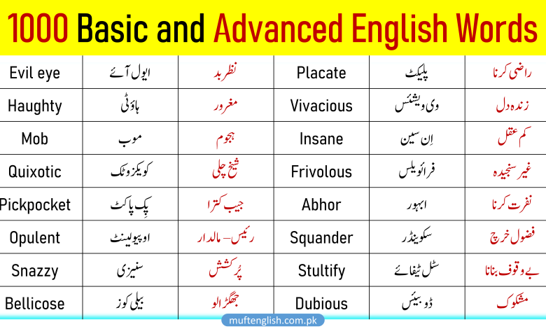 1000 English Vocabulary with Urdu Meaning and Pronunciation